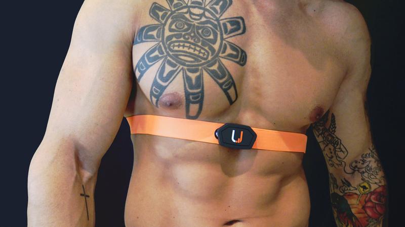 Belt D 2