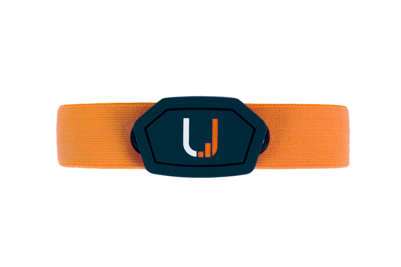 Belt D 3