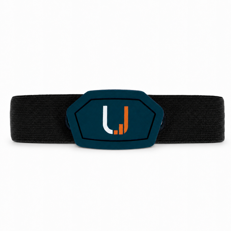 Belt nera